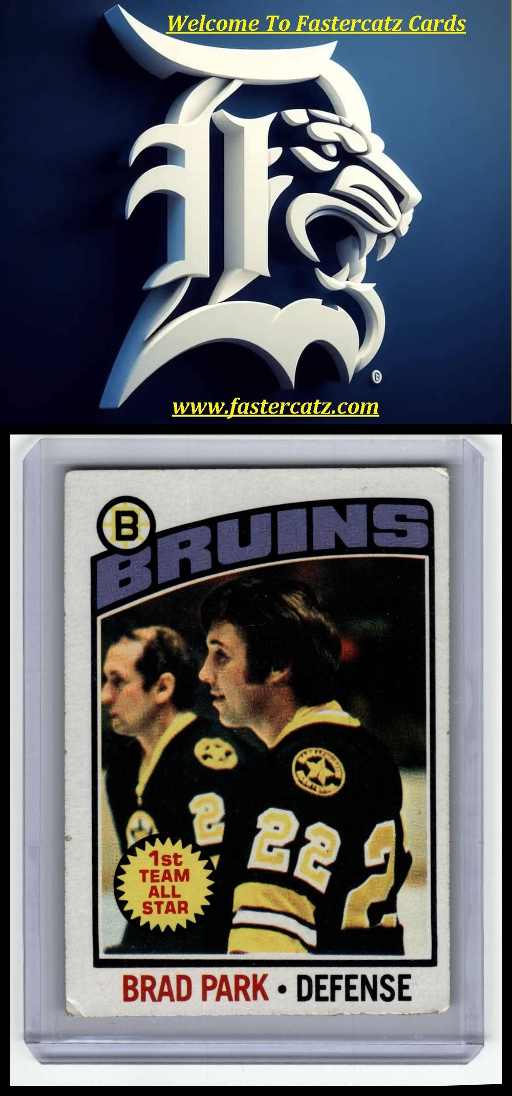 1976-77 Topps #60 Brad Park