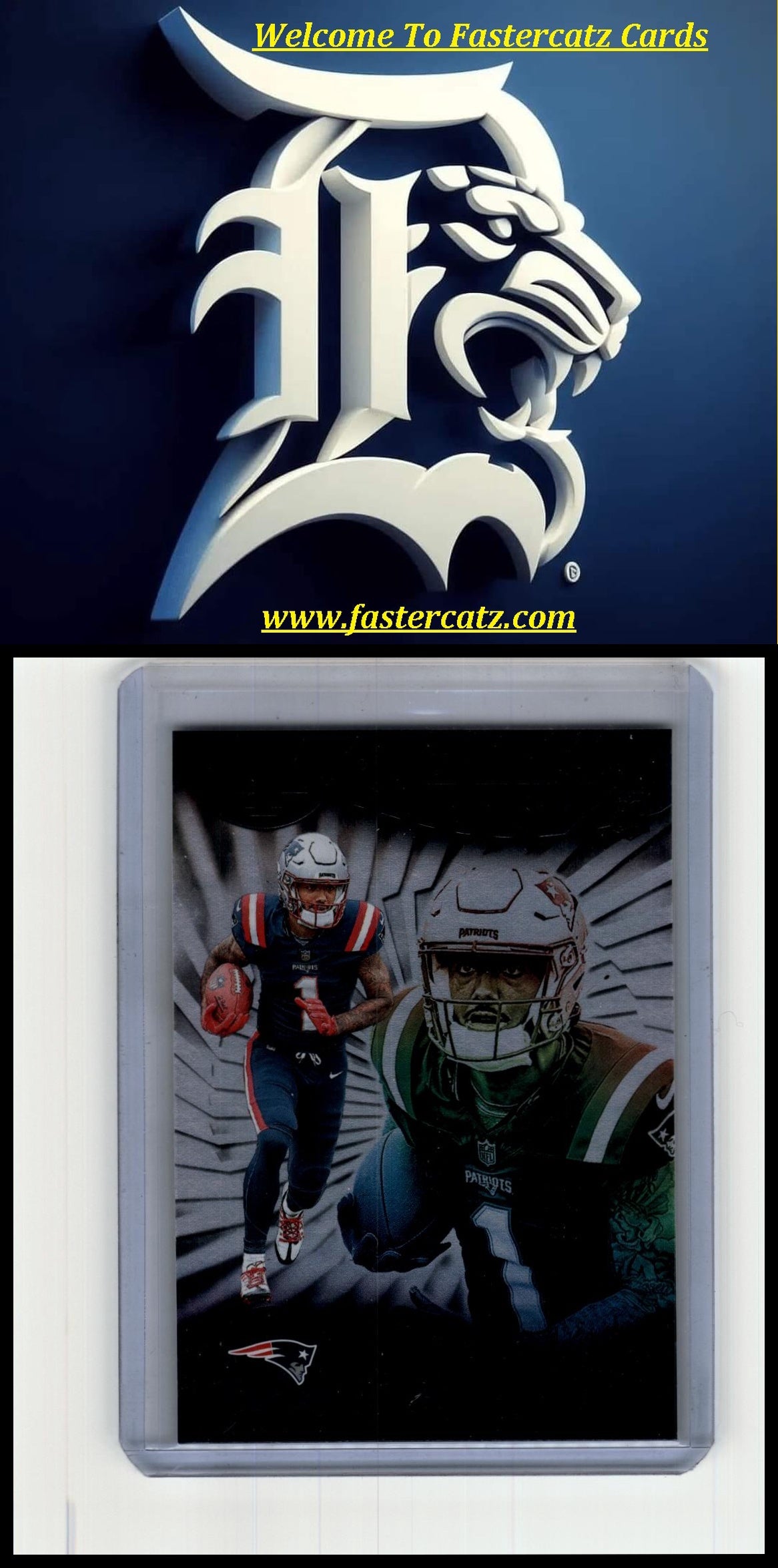 2024 Panini Illusions #60 Ja'Lynn Polk