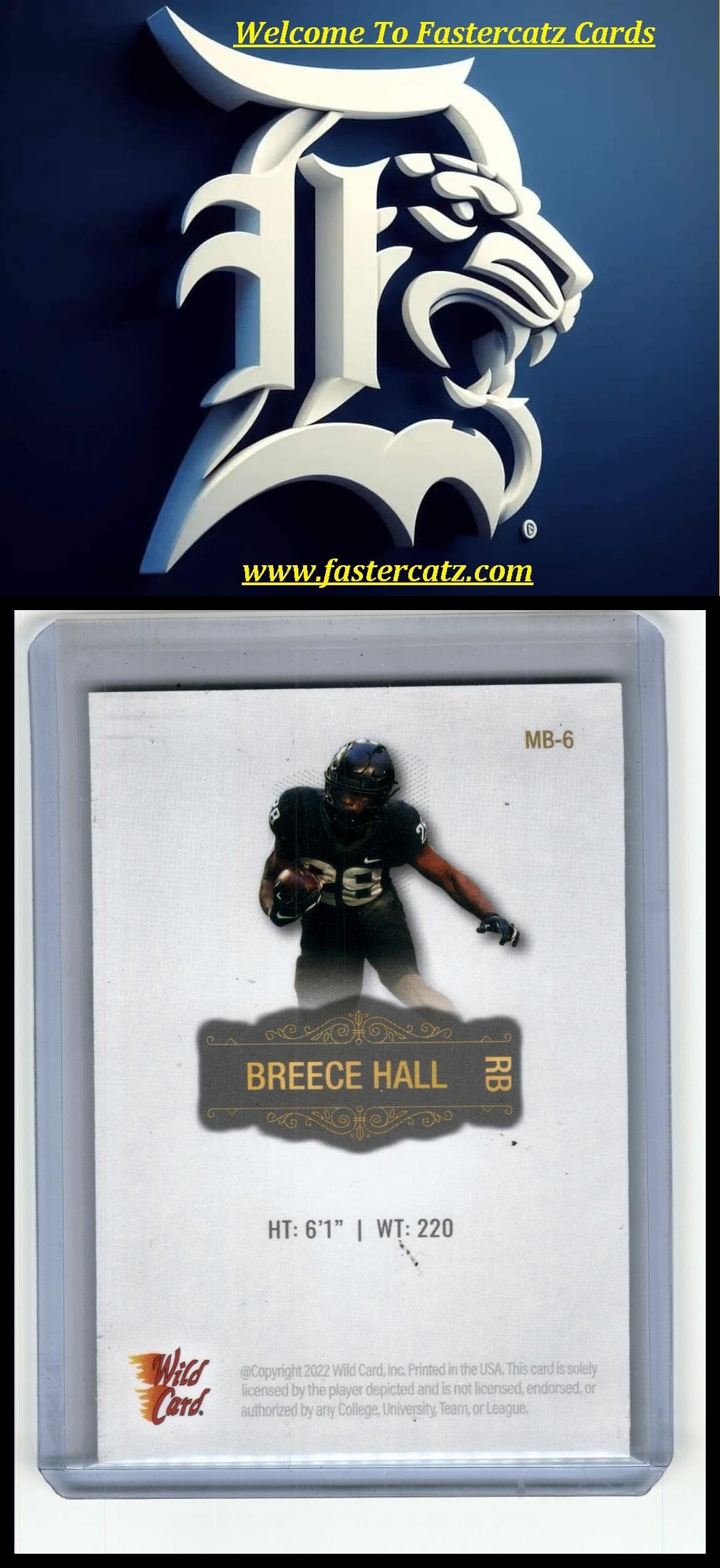 2022 Wild Card Matte #MB-6 Breece Hall Silver